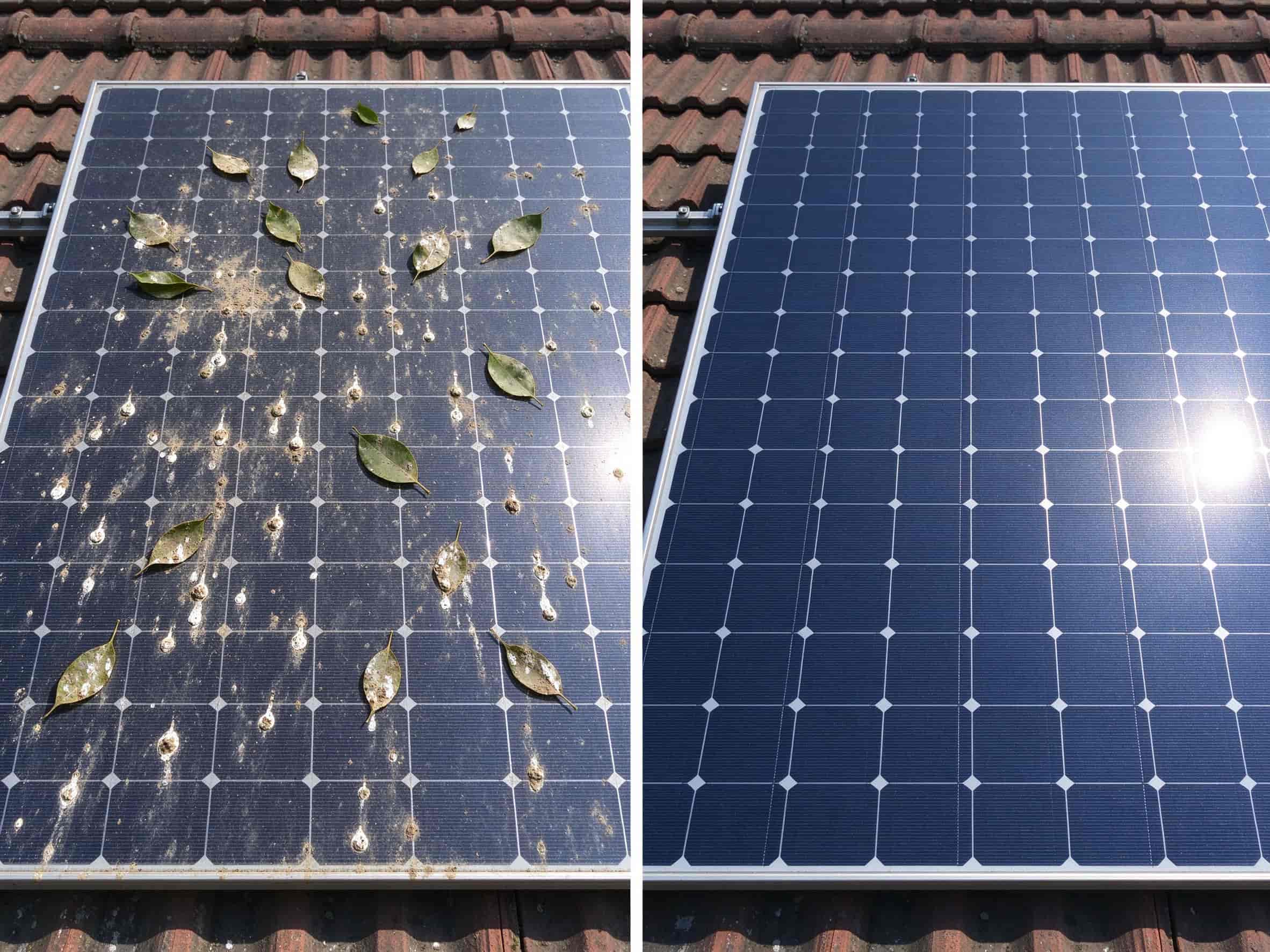 Side by side comparison of a dusty solar panel covered in leaves and bird droppings next to a clean glossy panel