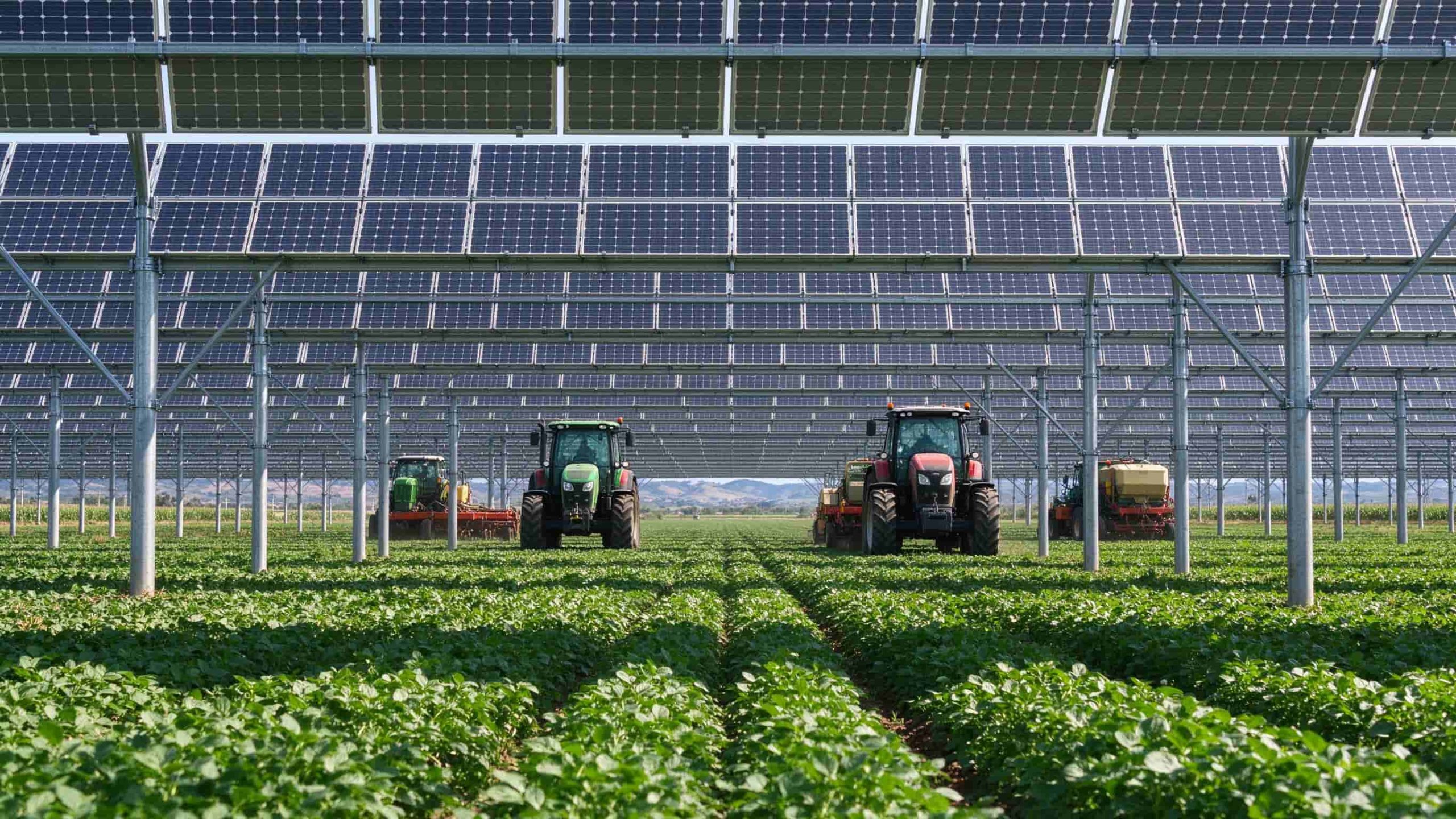  Elevated solar panels mounted above a leafy crop field with farm equipment underneath.